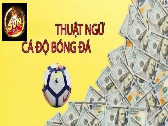 Các thuật ngữ trong kèo tài xỉu Các thuật ngữ cá cược bóng đá trong kèo tài xỉu